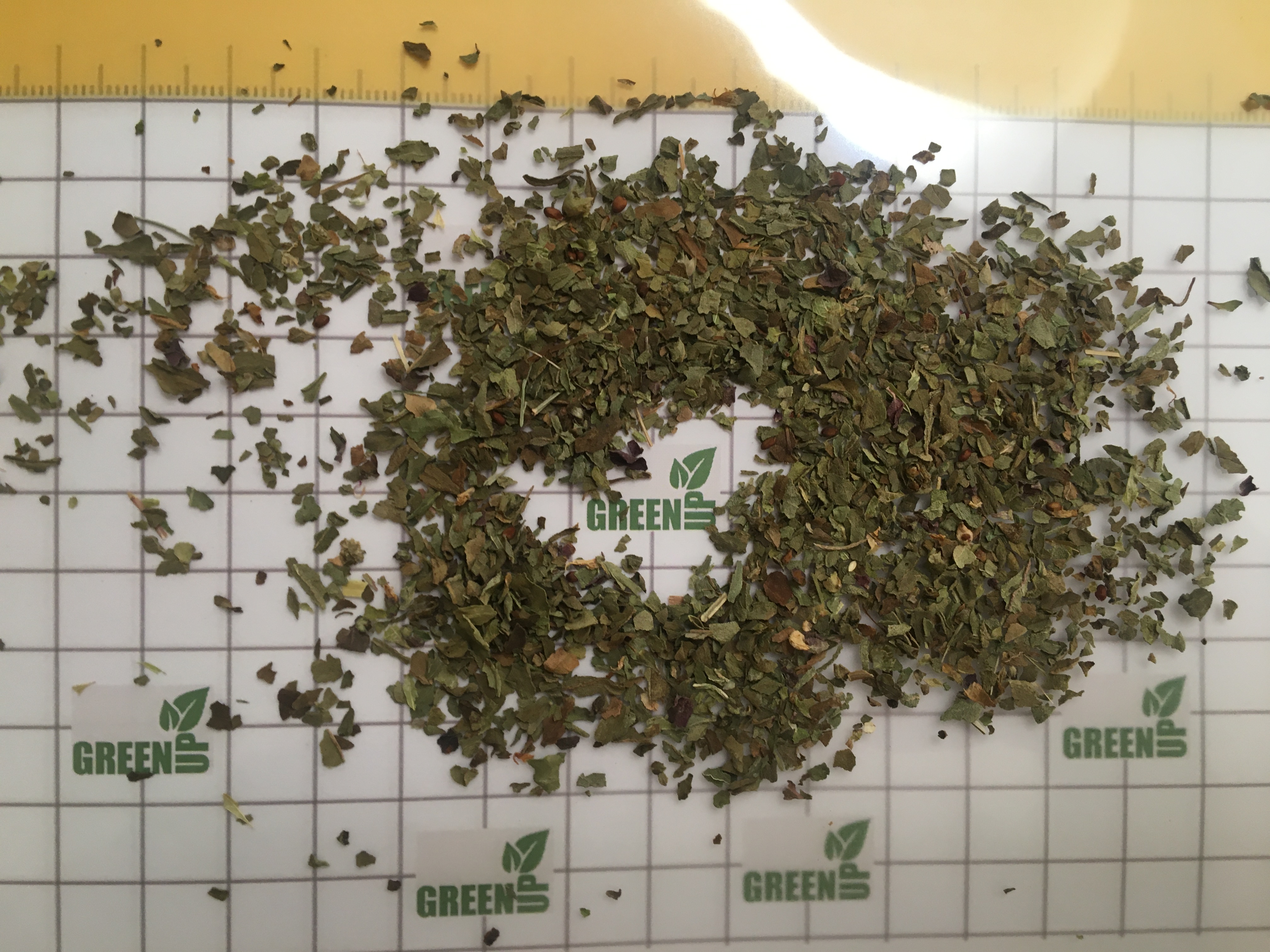 Dried Basil Leaves (Ocimum basilicum)