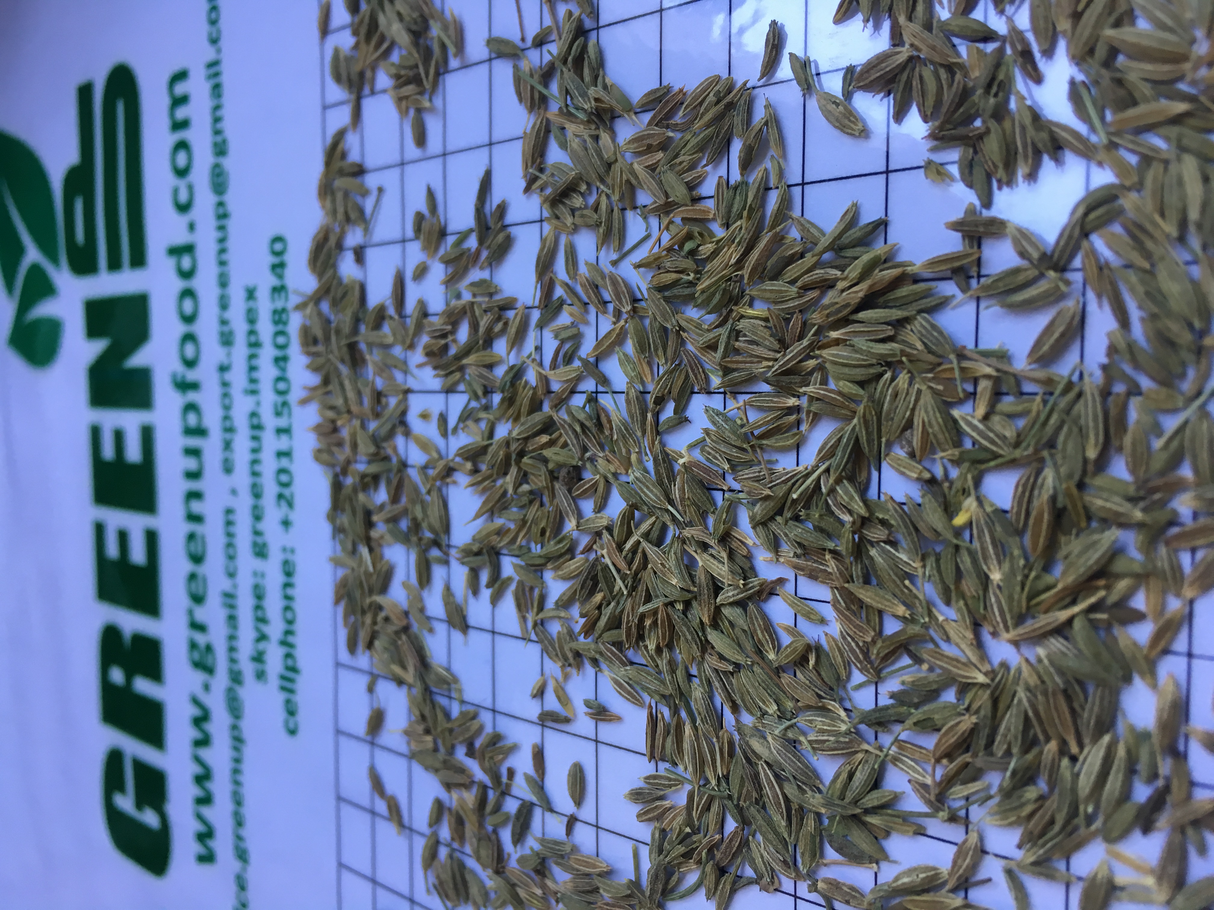 Dried Cumin Seeds (Cuminum cyminum)