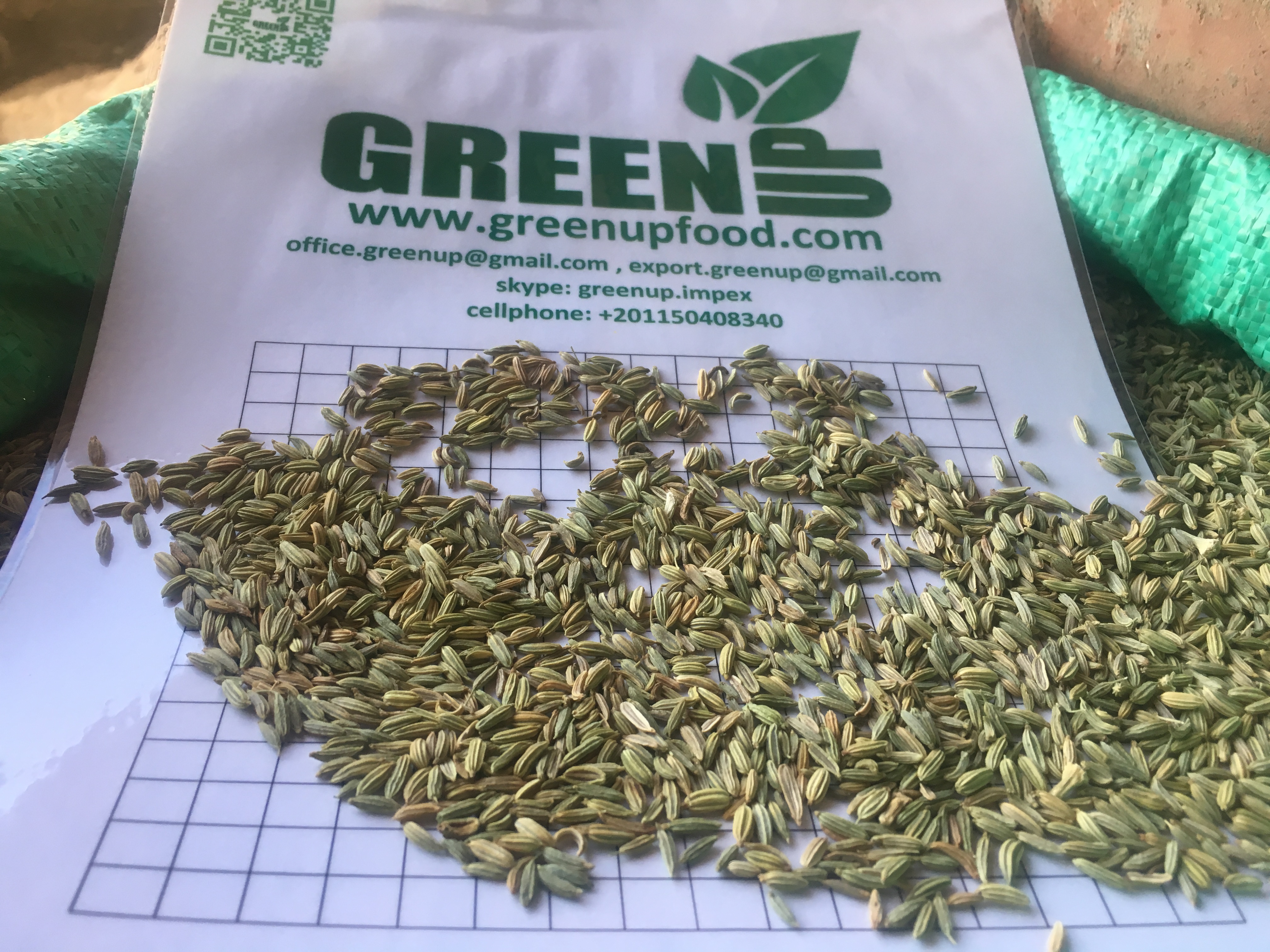 Dried Fennel Seeds (Foeniculum vulgare)