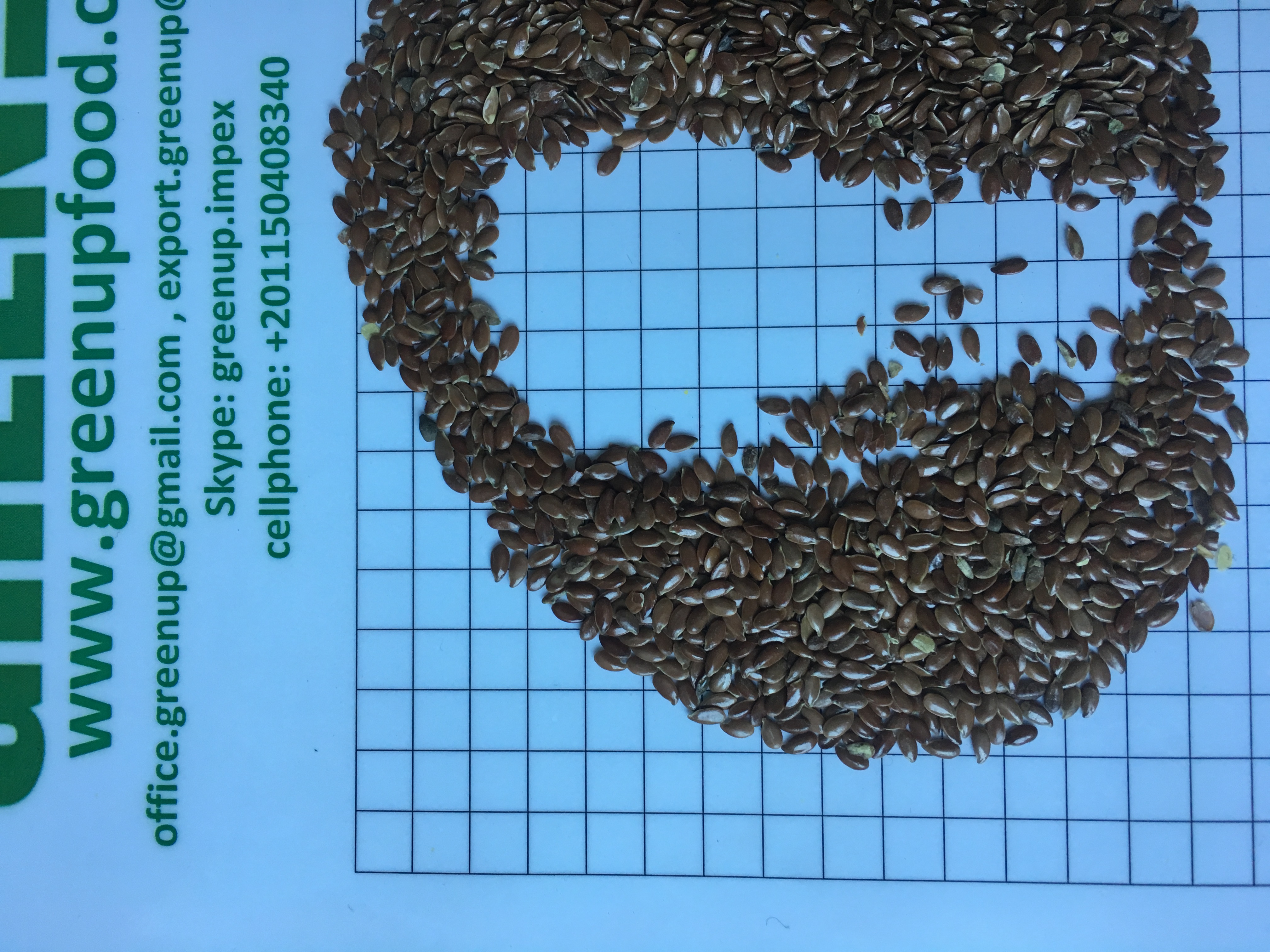 Dried Flax Seeds (Linum usitatissimum)