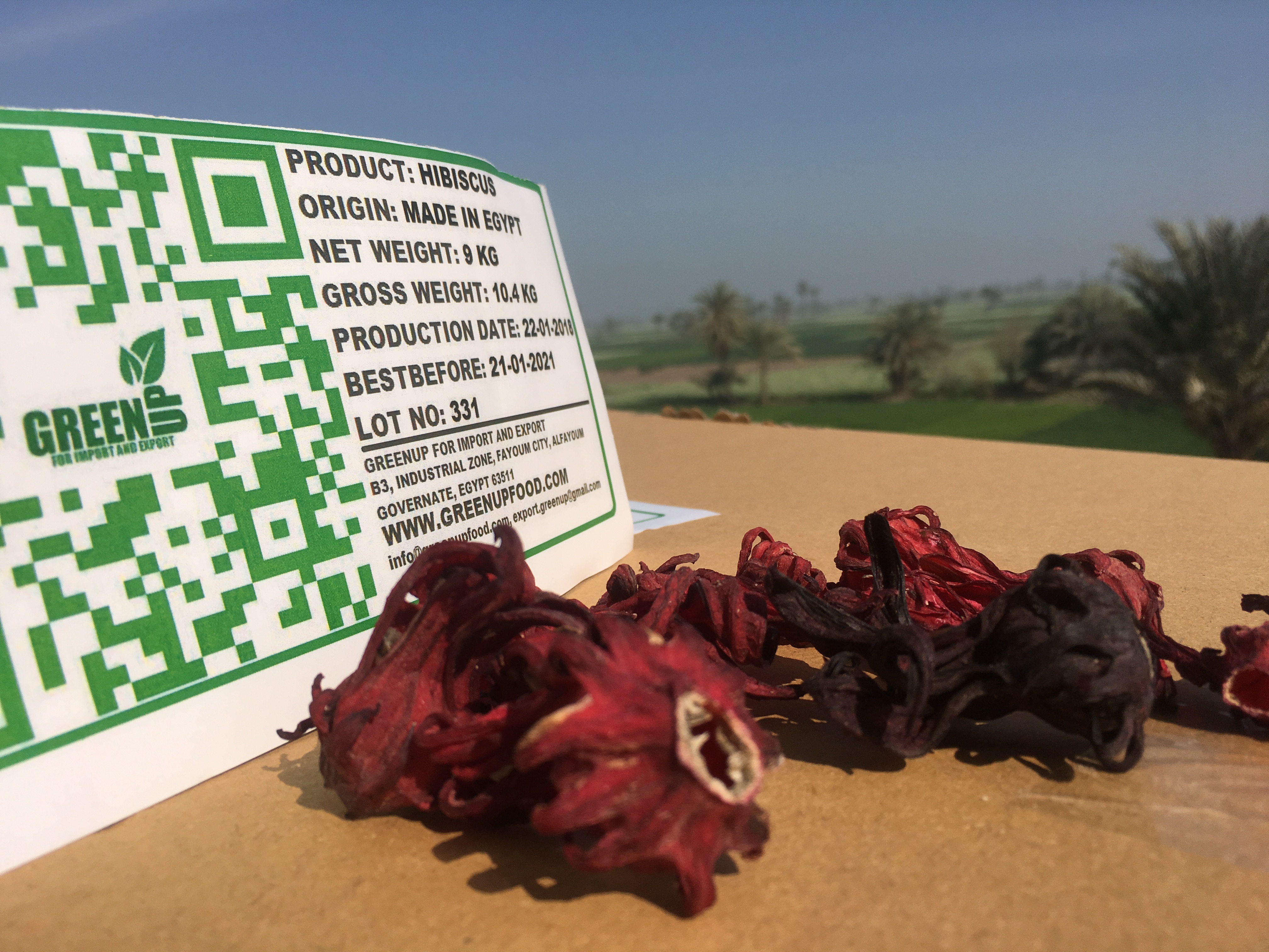 Dried Hibiscus Closed Flowers (Hibiscus sabdariffa)