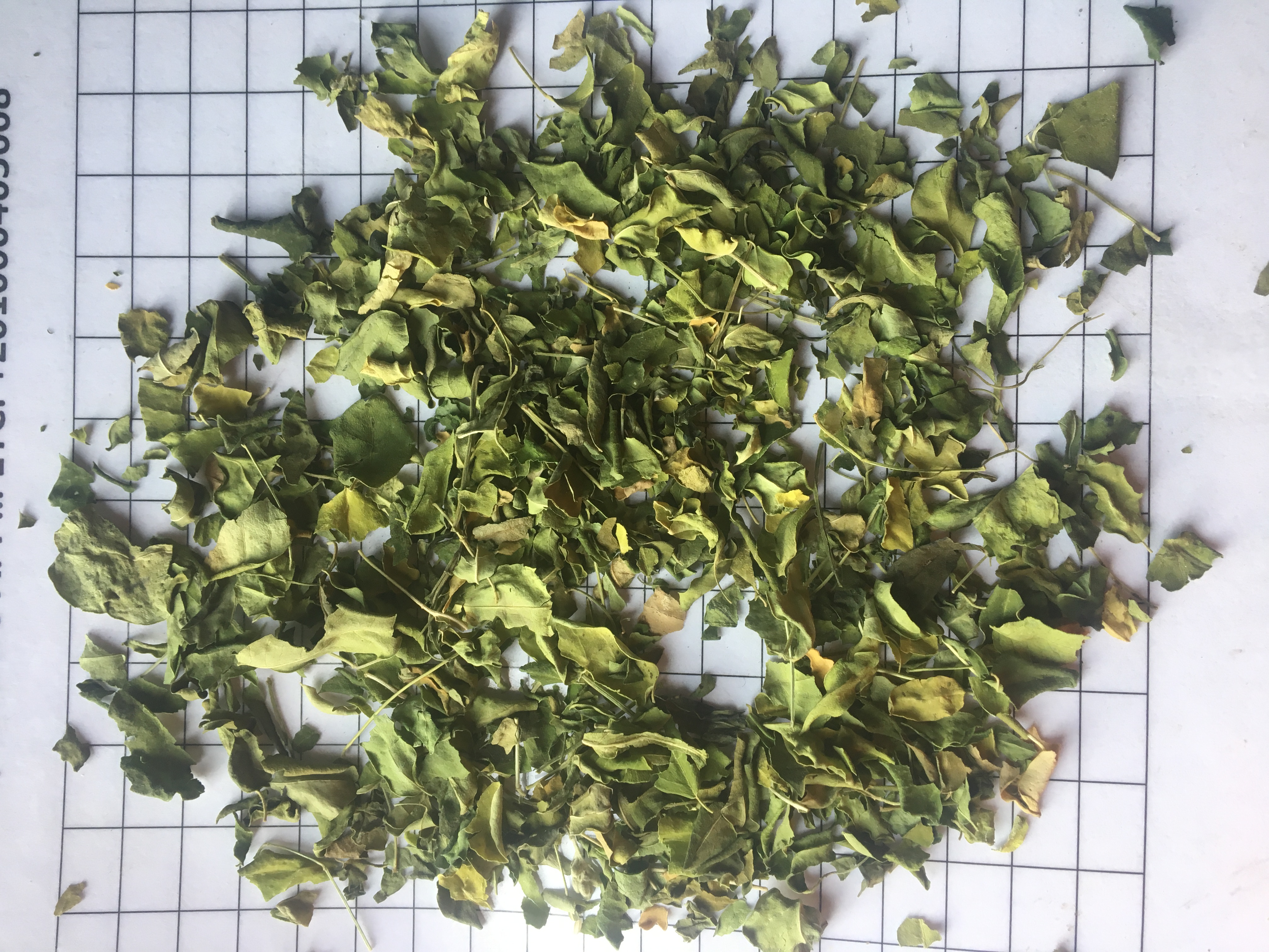 Dried Moringa Leaves (Moringa oleifera)