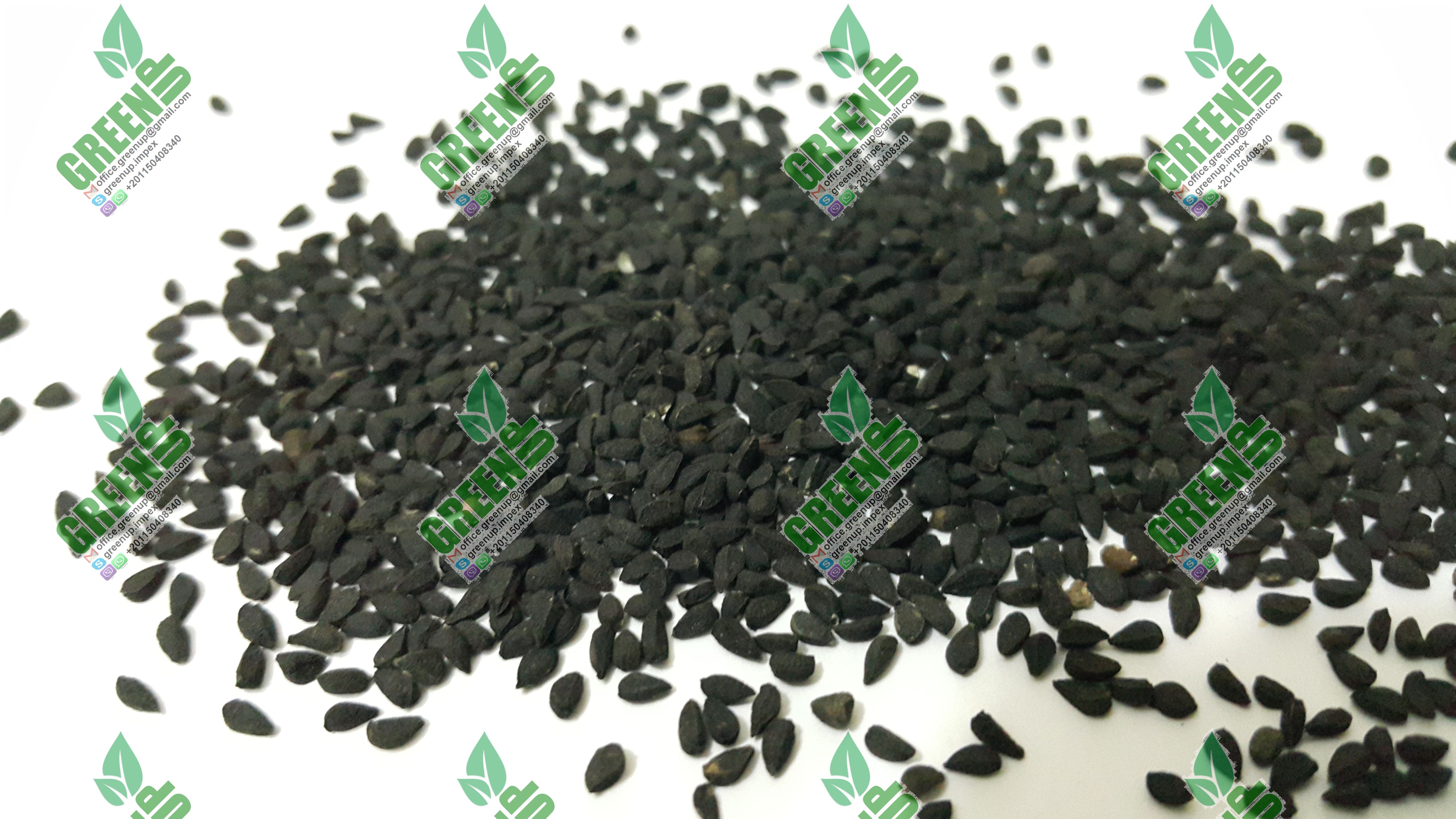 Nigella Seeds (Nigella sativa)