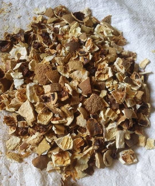 Dried Orange Peel (Citrus sinensis)