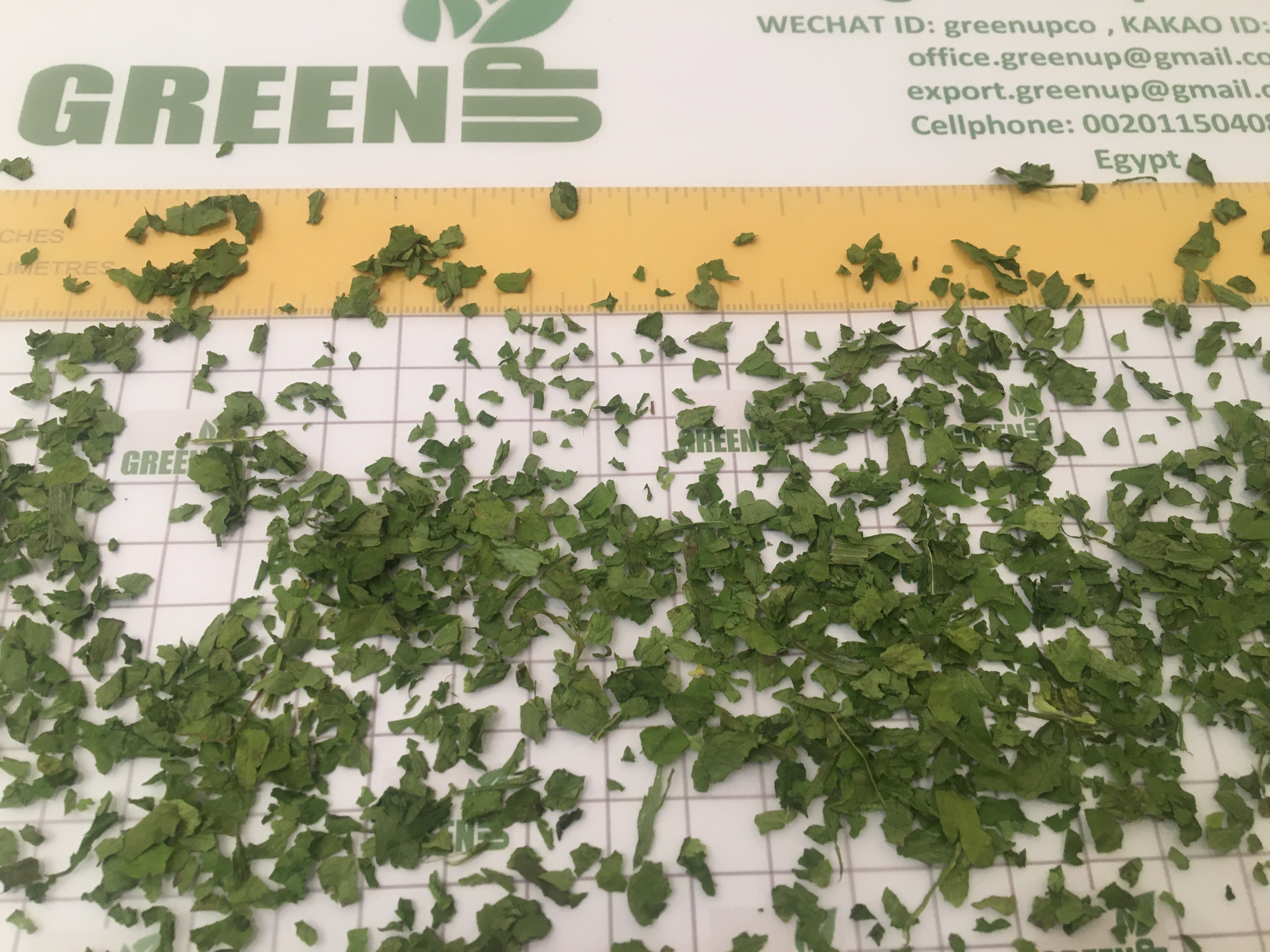 Machine Dried Parsley (Petroselinum crispum)