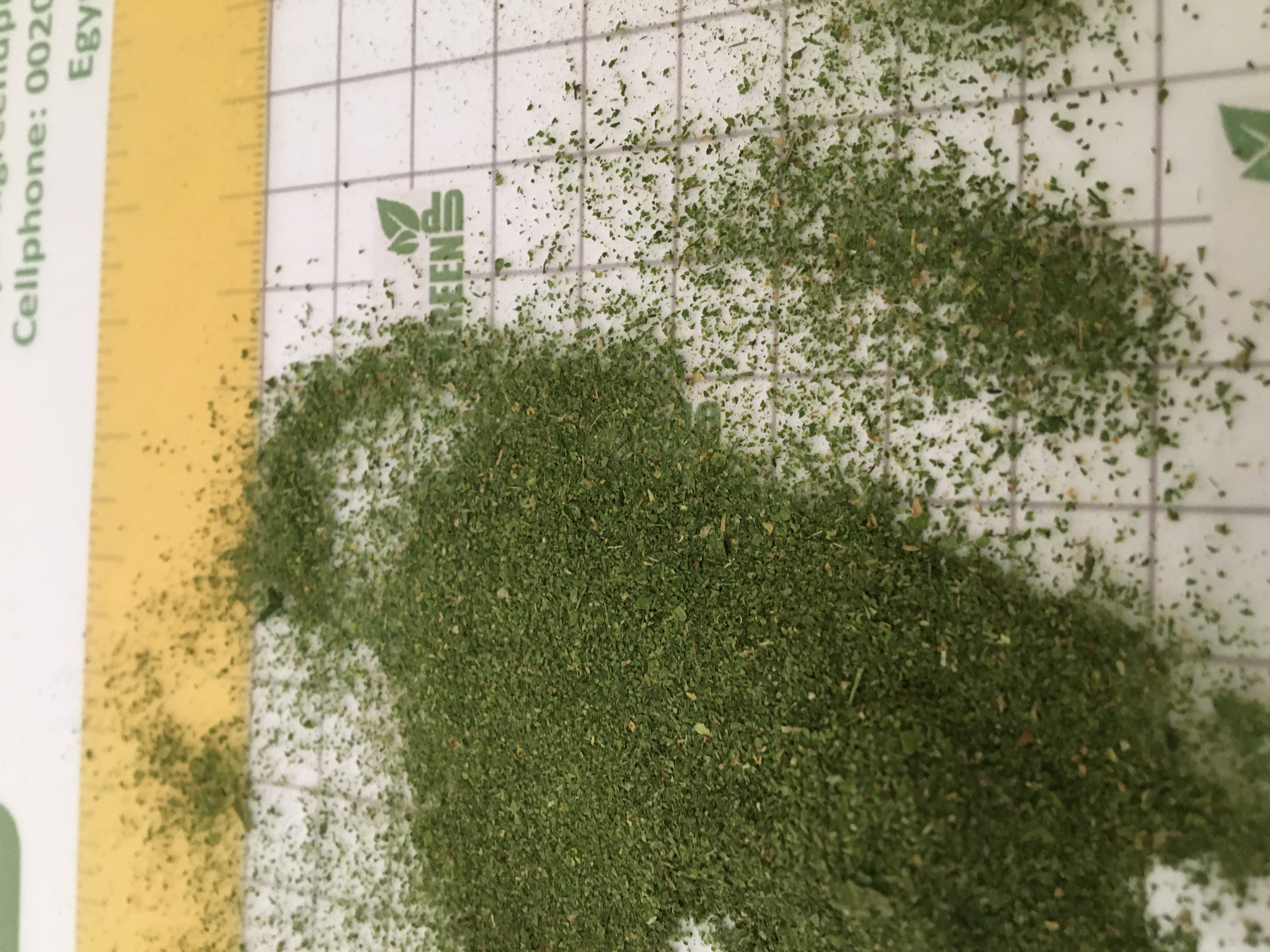 Parsley Powder (Petroselinum crispum)