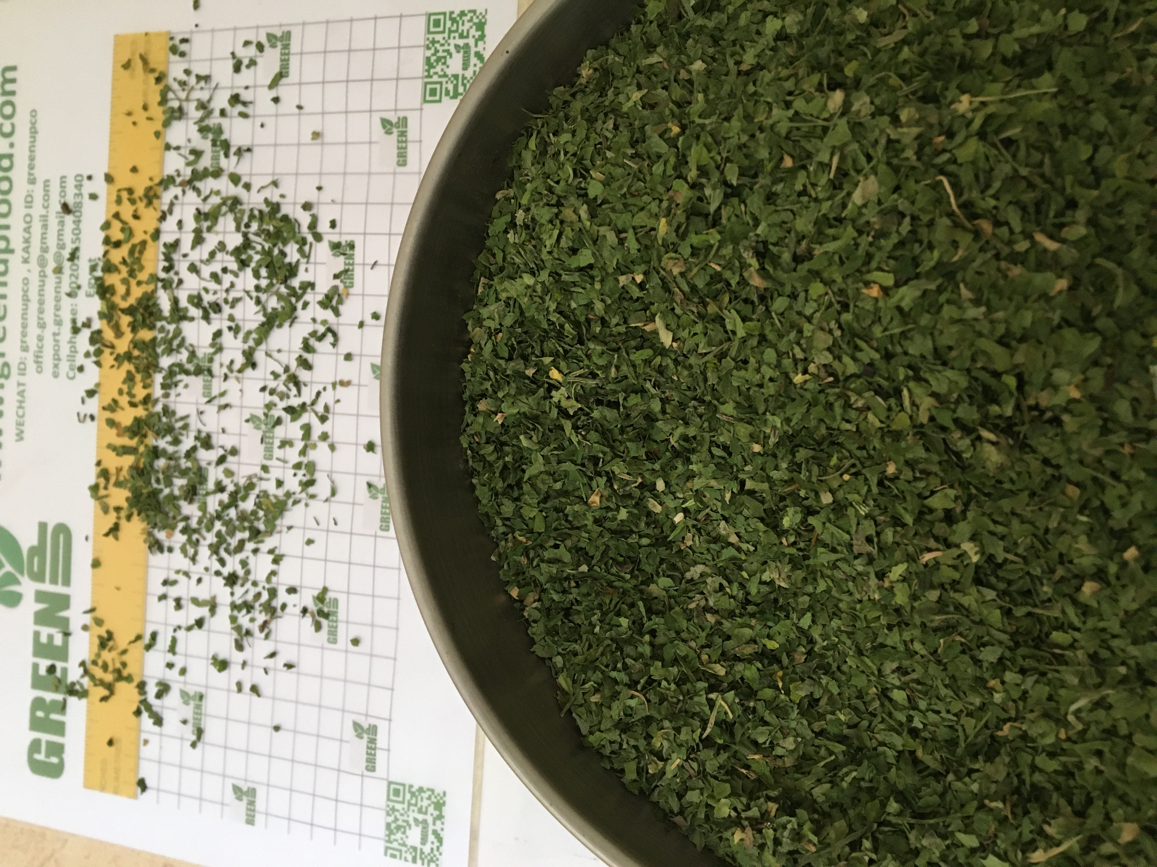 Sun Dried Parsley (Petroselinum crispum)