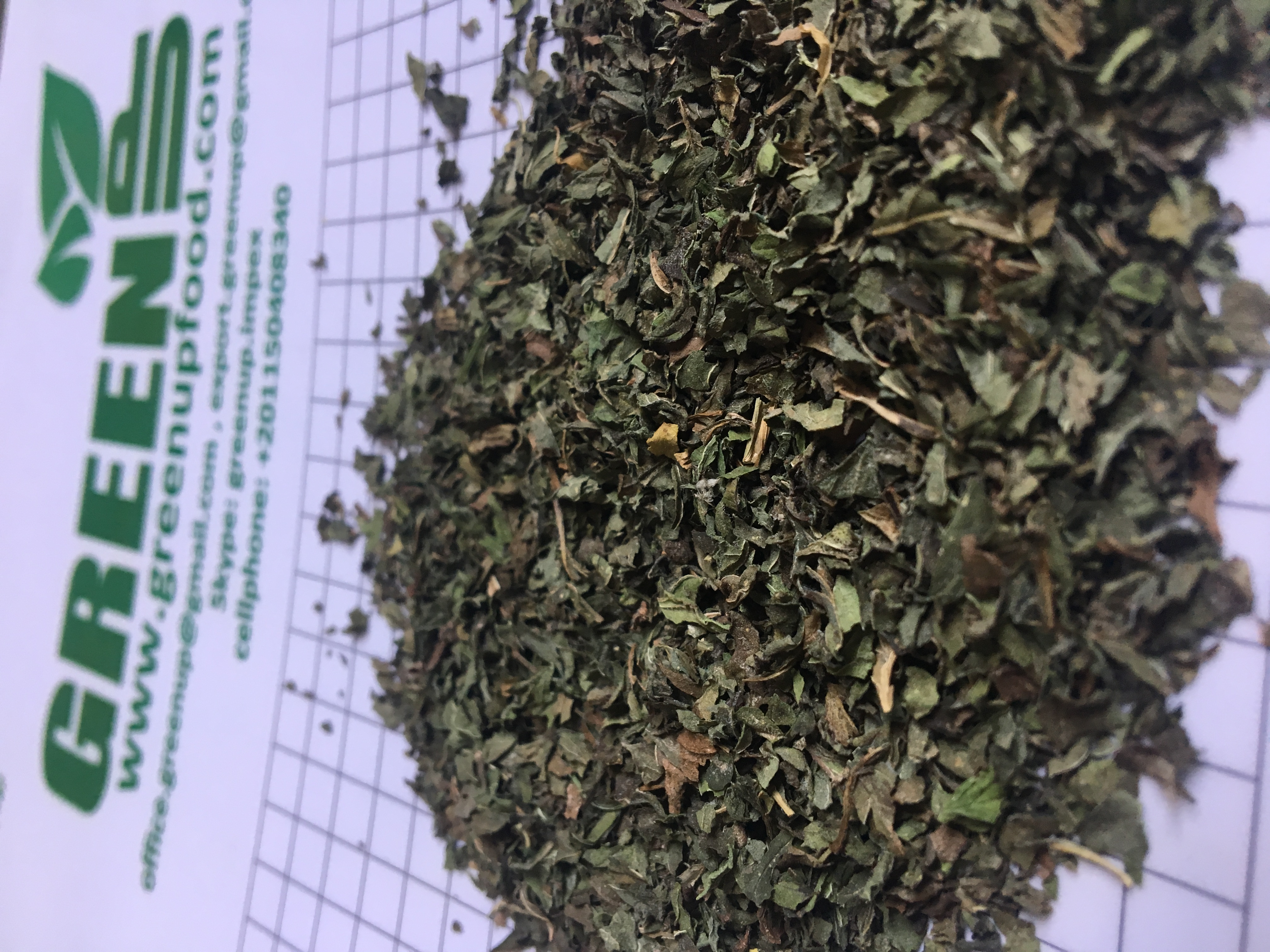 Dried Peppermint (Mentha × piperita)