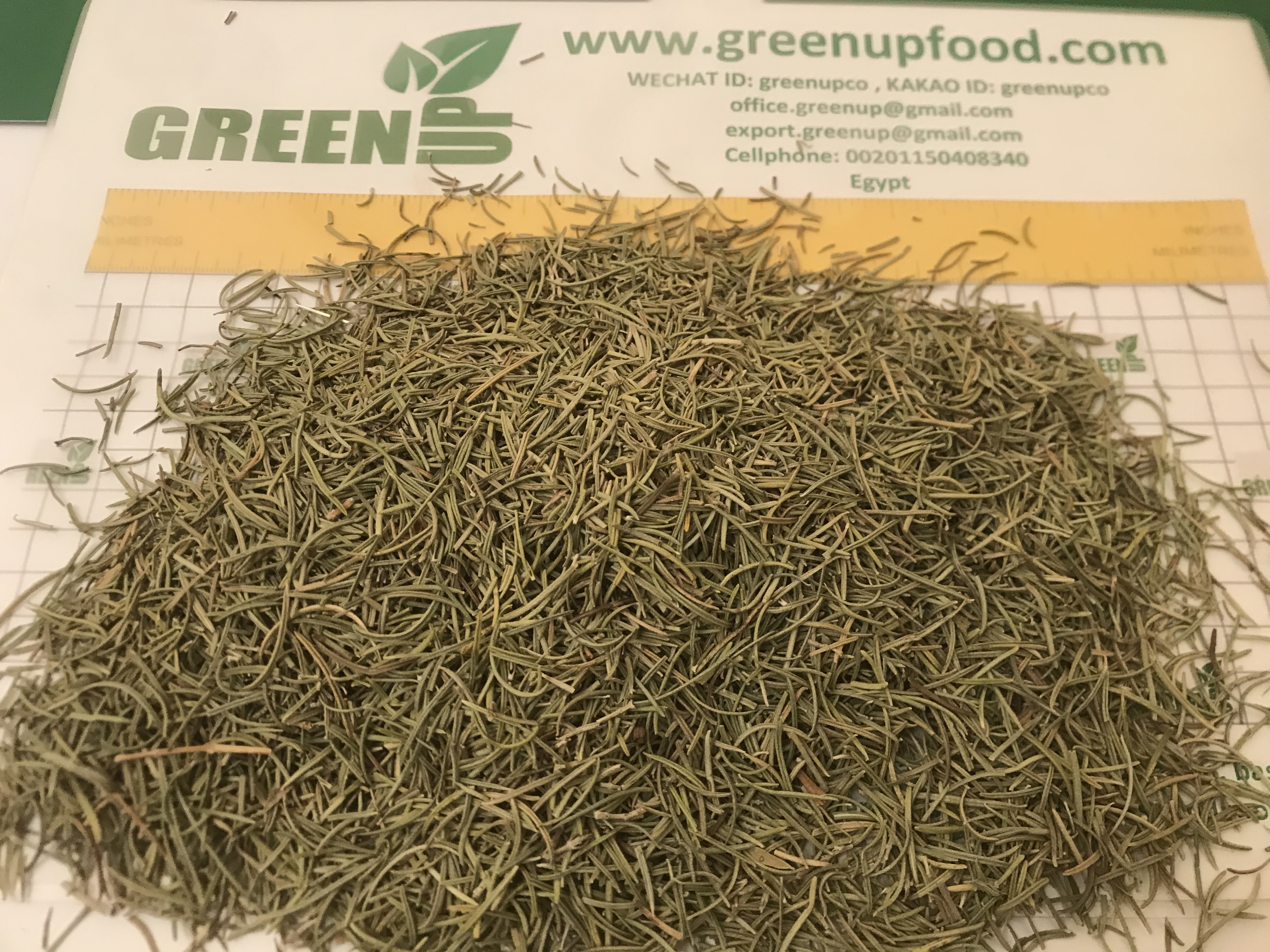 Dried Rosemary (Salvia rosmarinus)