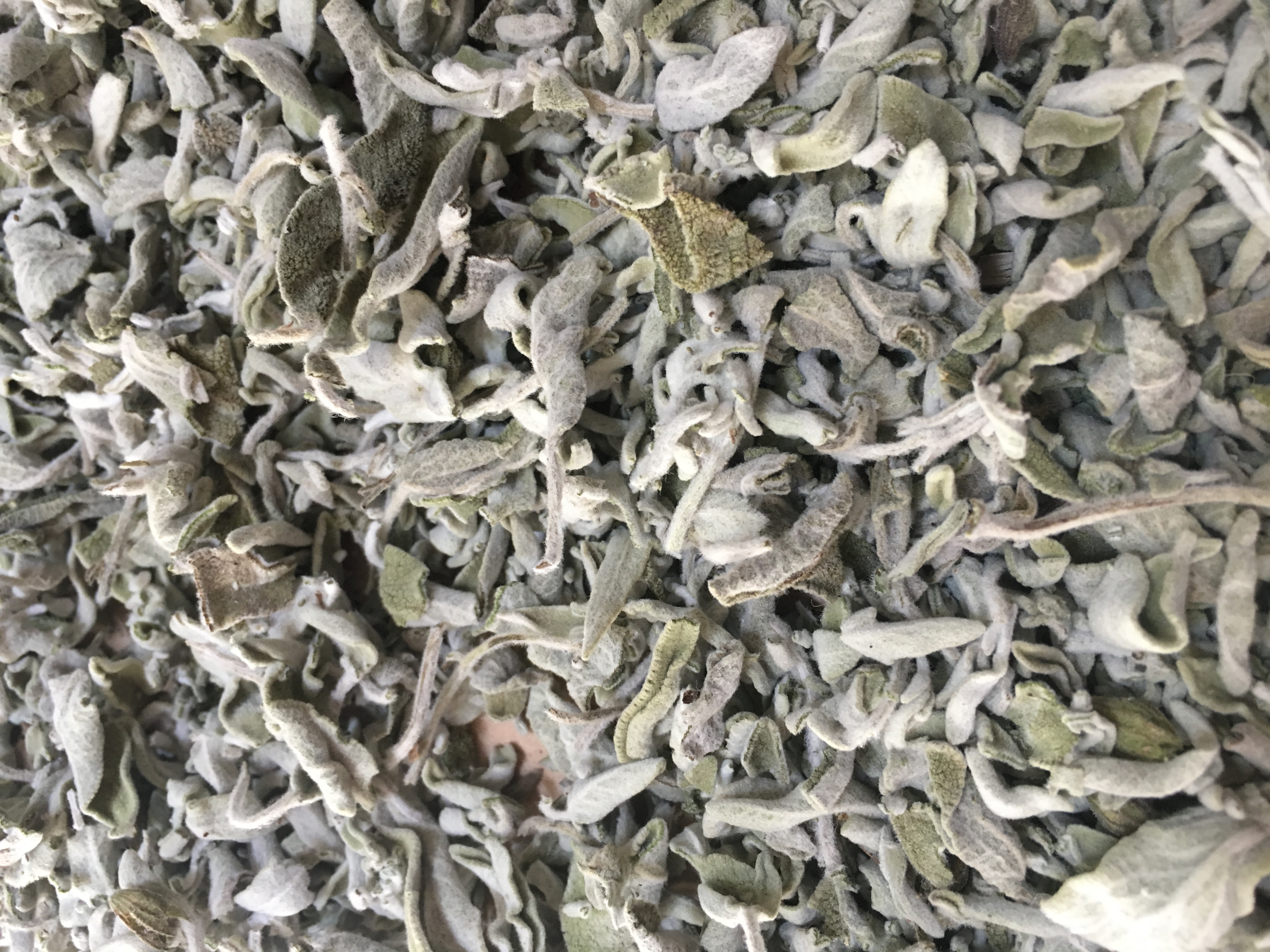 Dried Sage (Salvia officinalis)