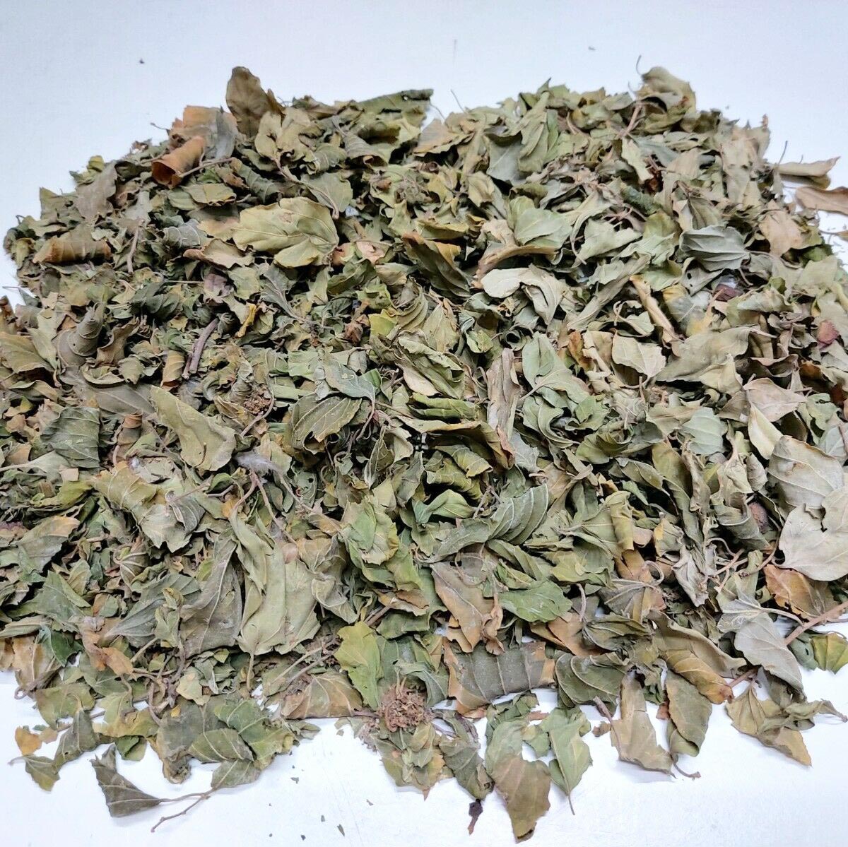 Dried Sidr Leaves (Ziziphus spina-christi)