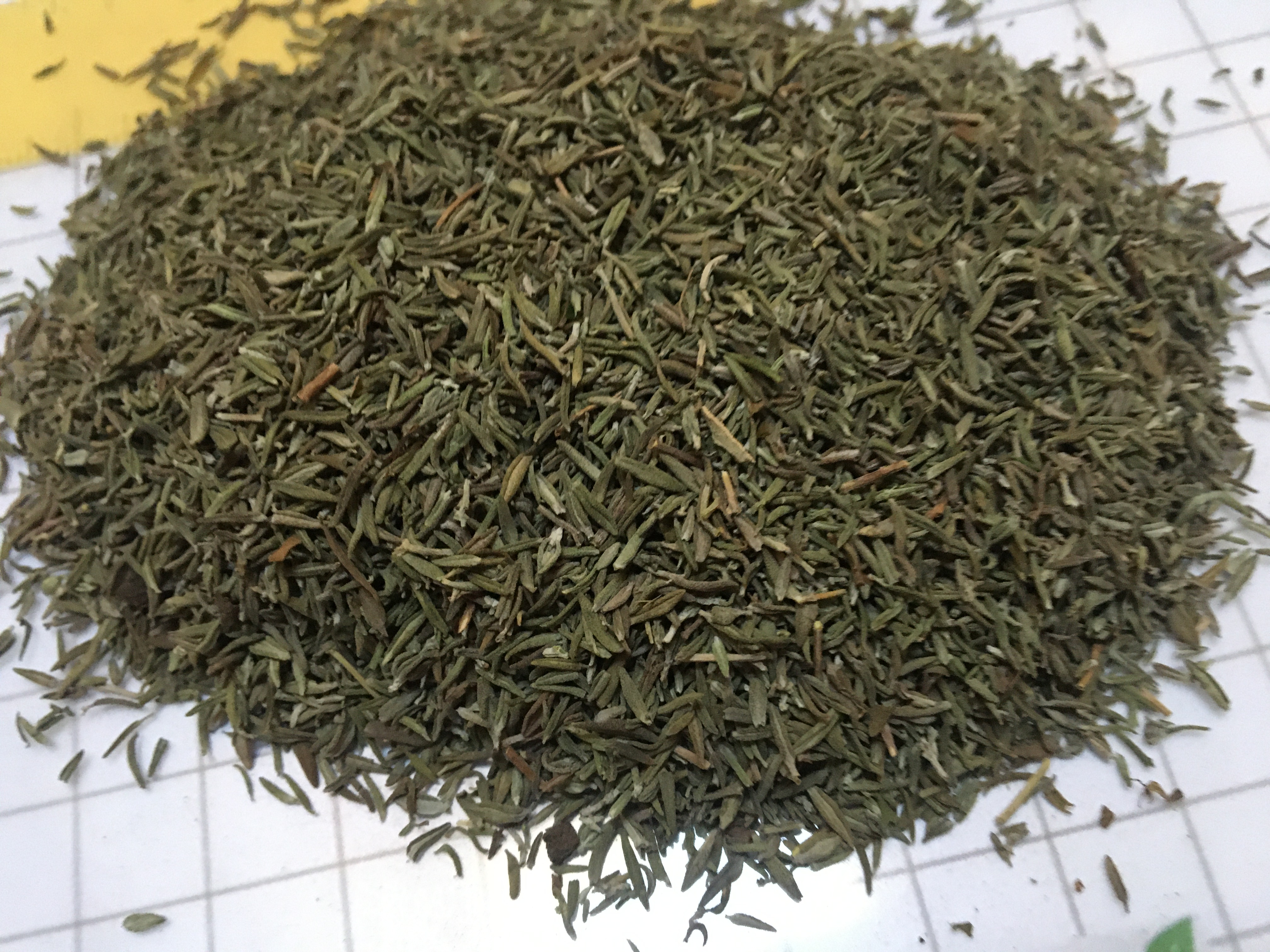 Dried Thyme (Thymus vulgaris)