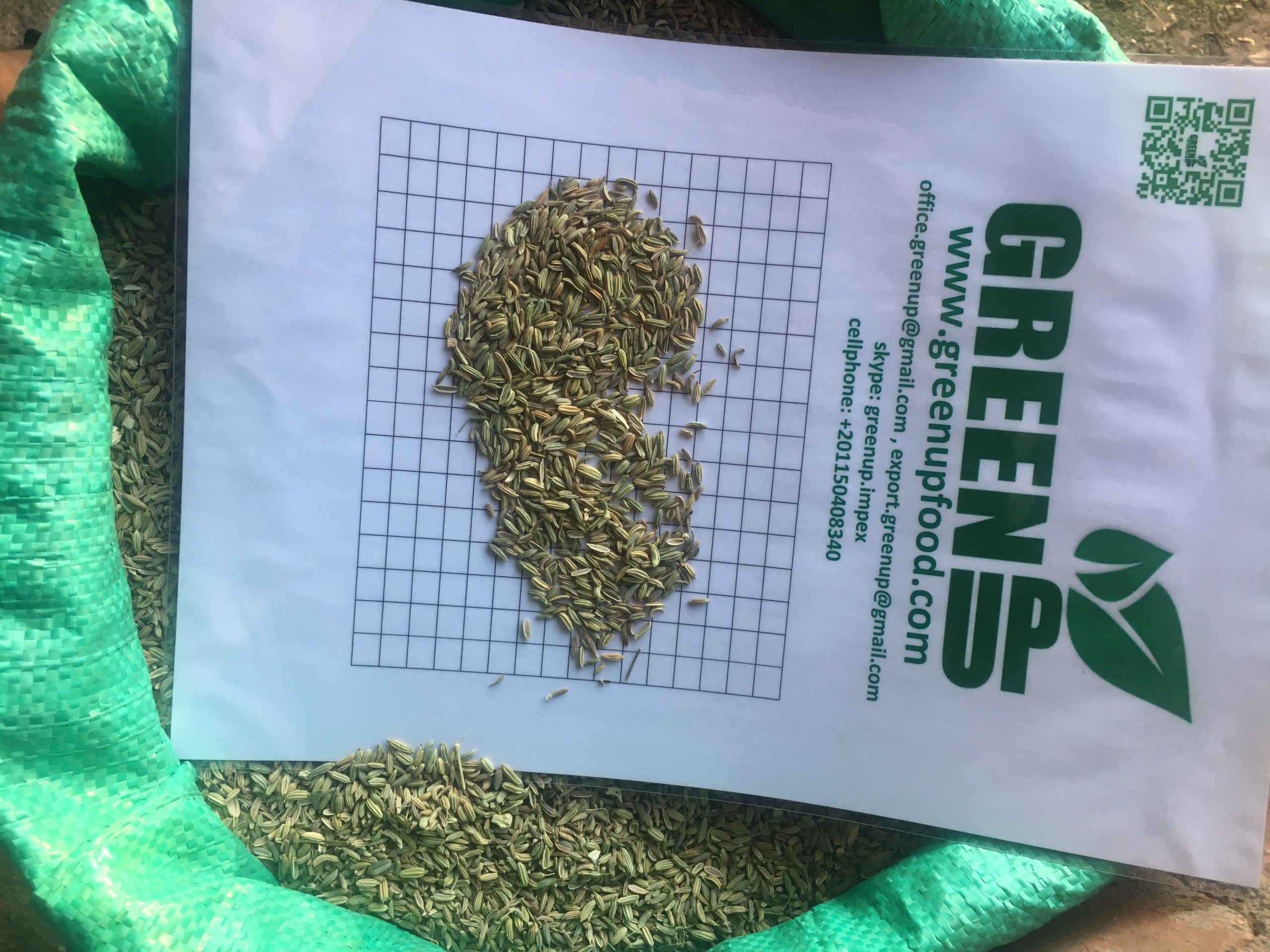 greenupfood fennel seeds (1)
