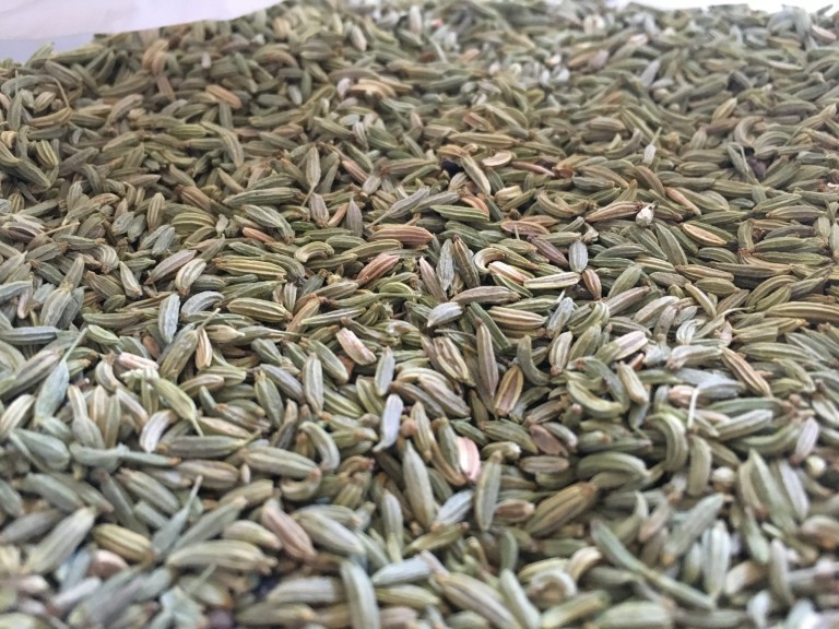 fennel seeds greenupfood