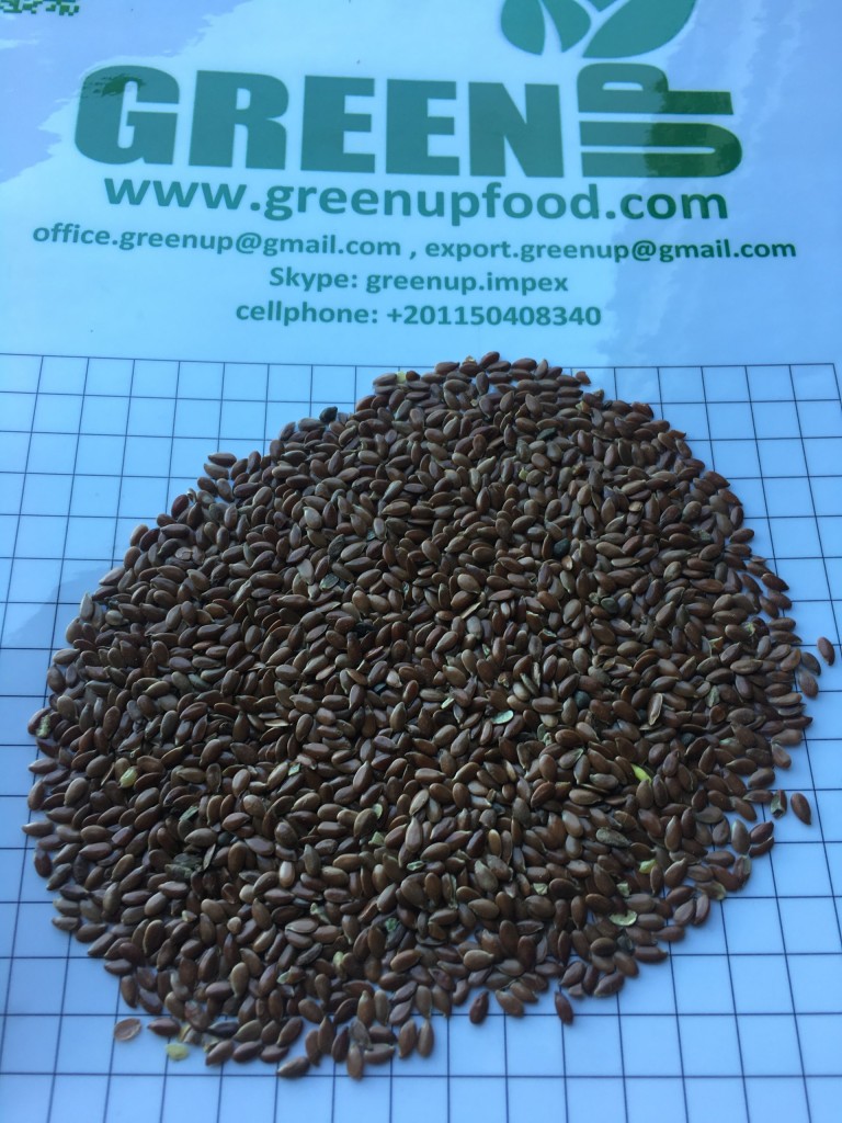 flax seeds greenupfood