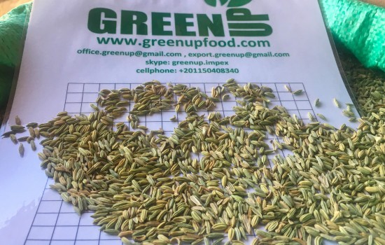 fennel seeds greenupfood (2)-min