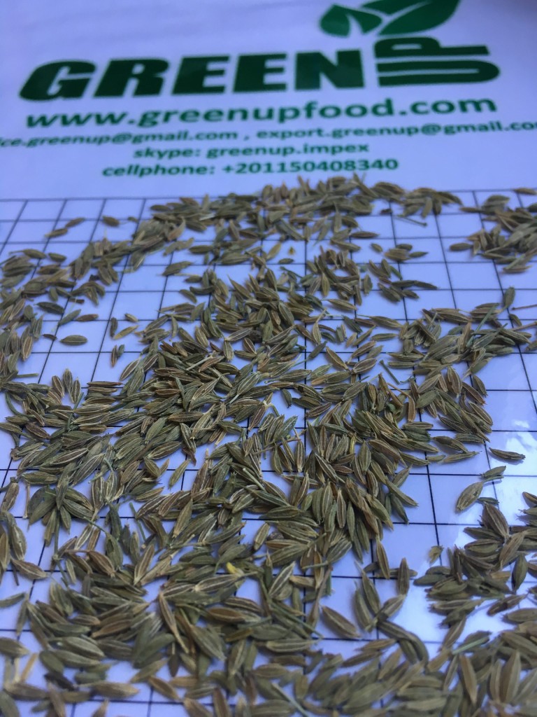 Cumin Seeds by Greenupfood